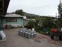 image of drinks