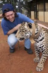 image of jaguar_car