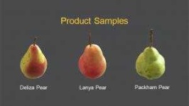 image of pear