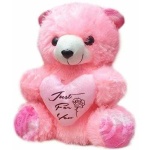 image of teddy_bear