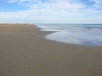 image of seashore