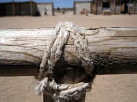 image of knot