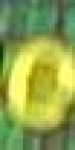 image of char