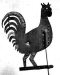 image of rooster