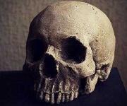 image of skull