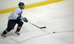 image of puck