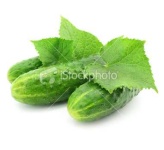 image of cucumber #2