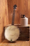 image of banjo