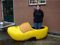 image of clog