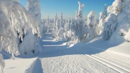image of snowy