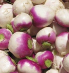 image of turnip #2