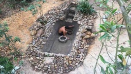 image of pond