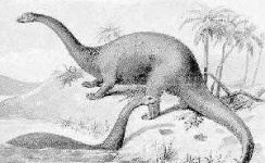 image of brontosaurus