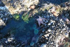 image of rocky_shore