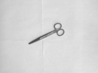image of straight_scissor #1