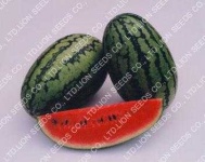 image of watermelon