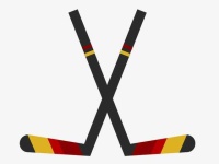 image of hockey_stick