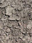 image of texture