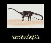 image of brontosaurus