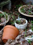 image of pot