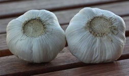 image of fruit_and_vegetable