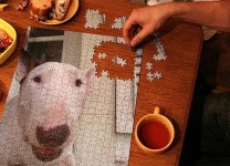 image of jigsaw_puzzle