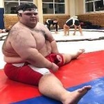 image of sumo_wrestling #2