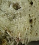 image of texture