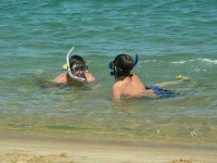 image of snorkel