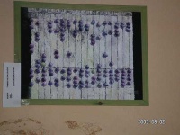 image of abacus