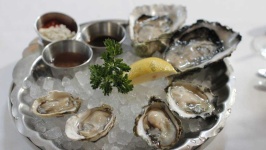 image of oyster #21