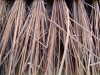 image of broom