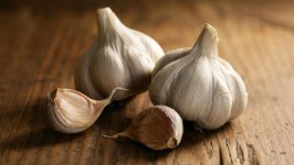 image of garlic #21