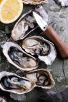 image of oyster #45