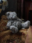 image of teddy