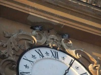 image of analog_clock