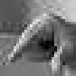 image of sign_language