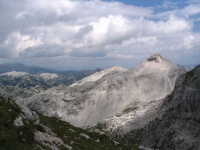 image of alp