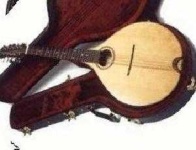image of mandolin