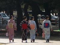 image of kimono
