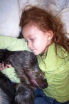 image of scottish_deerhound
