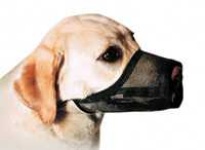 image of muzzle