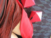 image of velvet