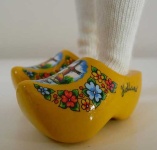 image of clog