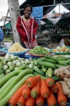 image of cucumber