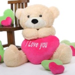 image of teddy_bear