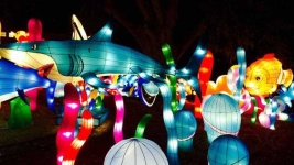 image of lantern
