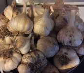image of fruit_and_vegetable
