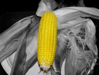image of corn