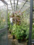 image of greenhouse
